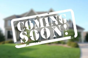 Dec 8th-11th Orleans Minto Model Home Online Sale (Publishing early afternoon)