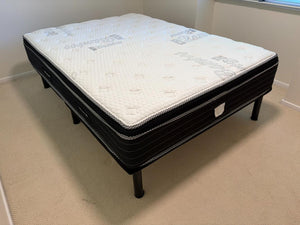 Queen Size Platform Bed Lot