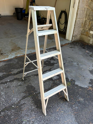 5 Step Ladder
