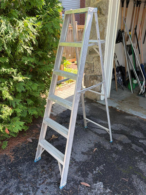 6 Step Ladder