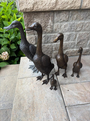 Set of 4 Heavy Metal Ducks