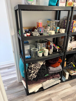 Plastic Storage Rack Lot #1 (Rack Only)