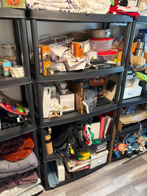 Plastic Storage Rack Lot #2 (Rack Only)