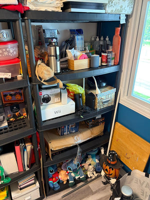 Plastic Storage Rack Lot #3 (Rack Only)