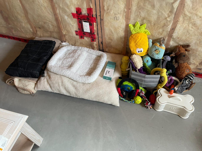 Dog Accessories Lot