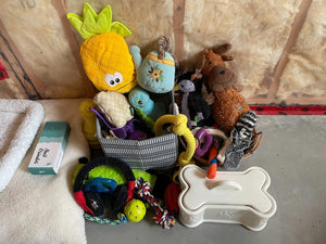 Dog Accessories Lot