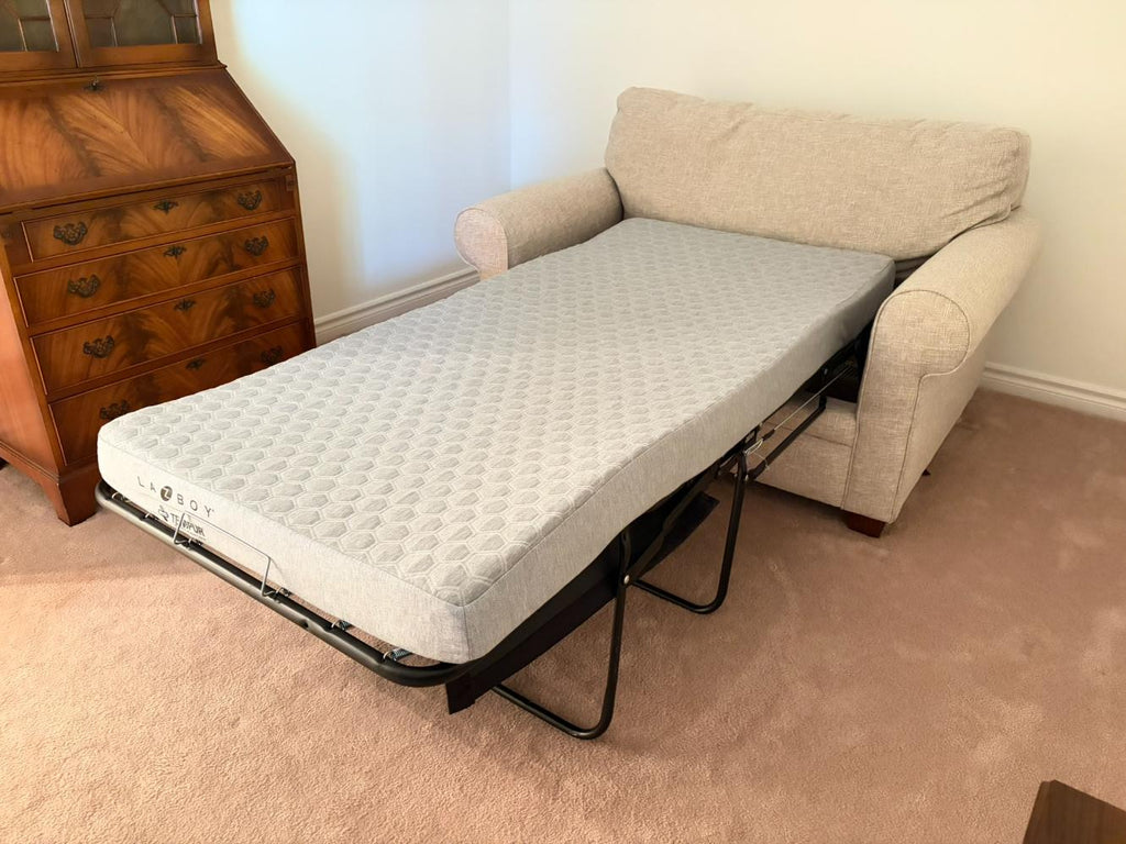La-Z-Boy Sleeper Sofa