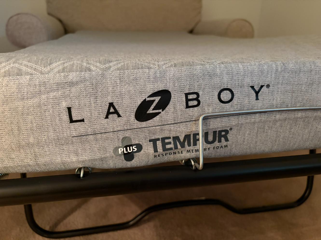La-Z-Boy Sleeper Sofa