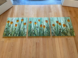 Framed Wall Art Lot #11