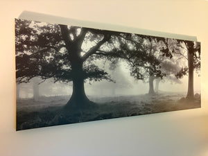 Framed Print Lot #1