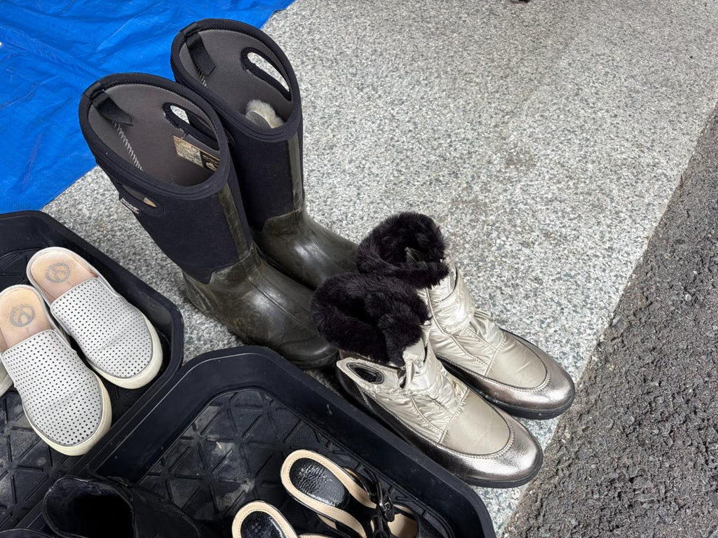 Misc. Womens Footwear Lot