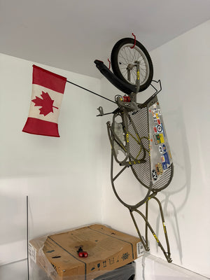Bob Mountain Bicycle Trailer