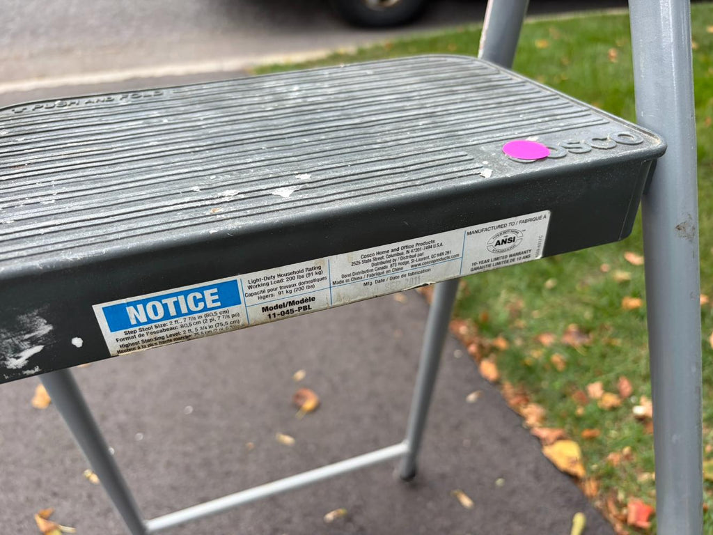 Cosco 3 Step Ladder