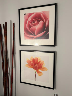 Pair Framed Prints