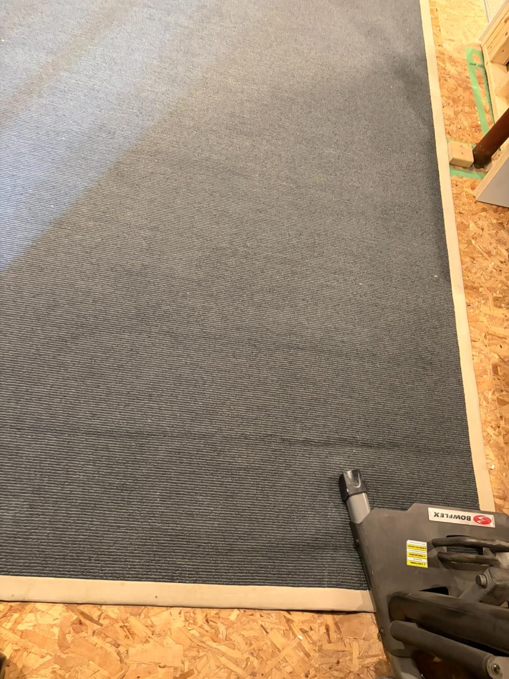 Area Rug