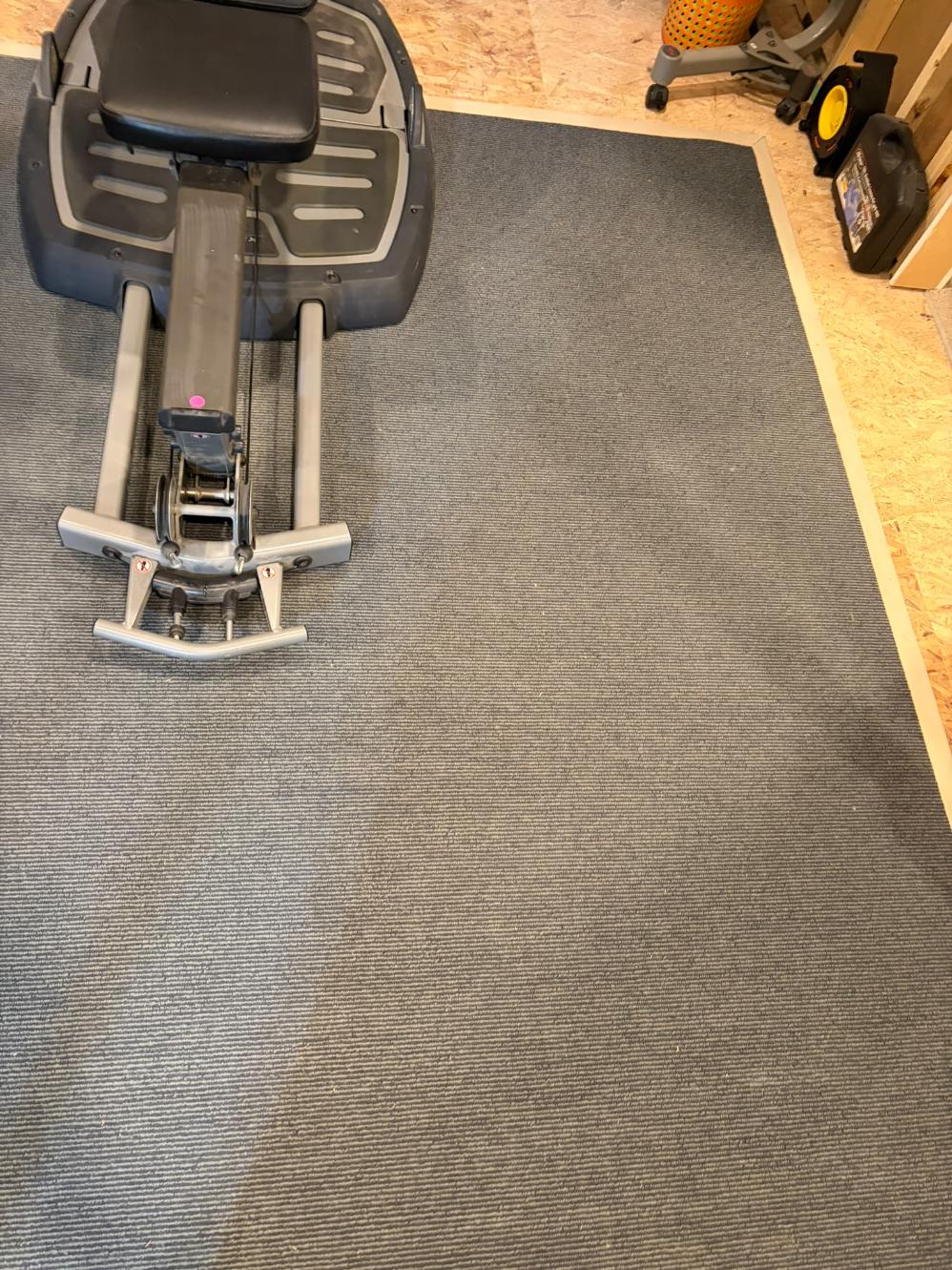 Area Rug
