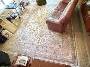 Thin Profile Area Rug (14ft x 9.5ft)