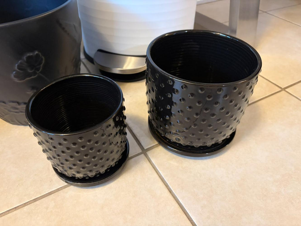 Housewares Lot