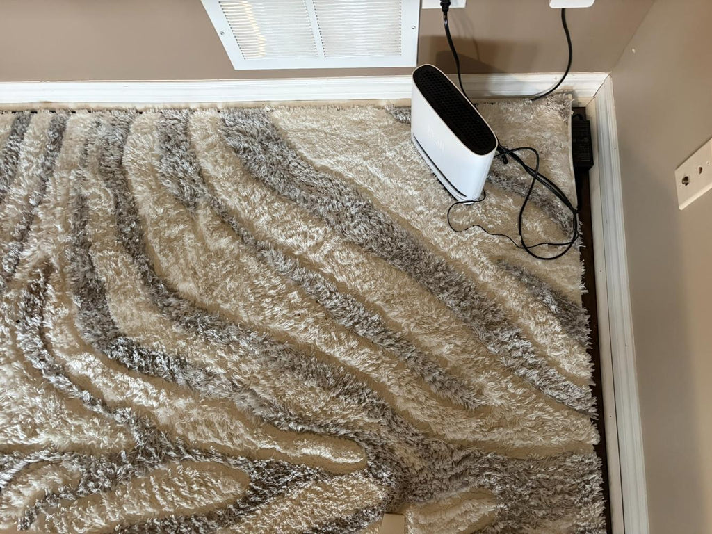 Thin Profile Area Rug Lot #