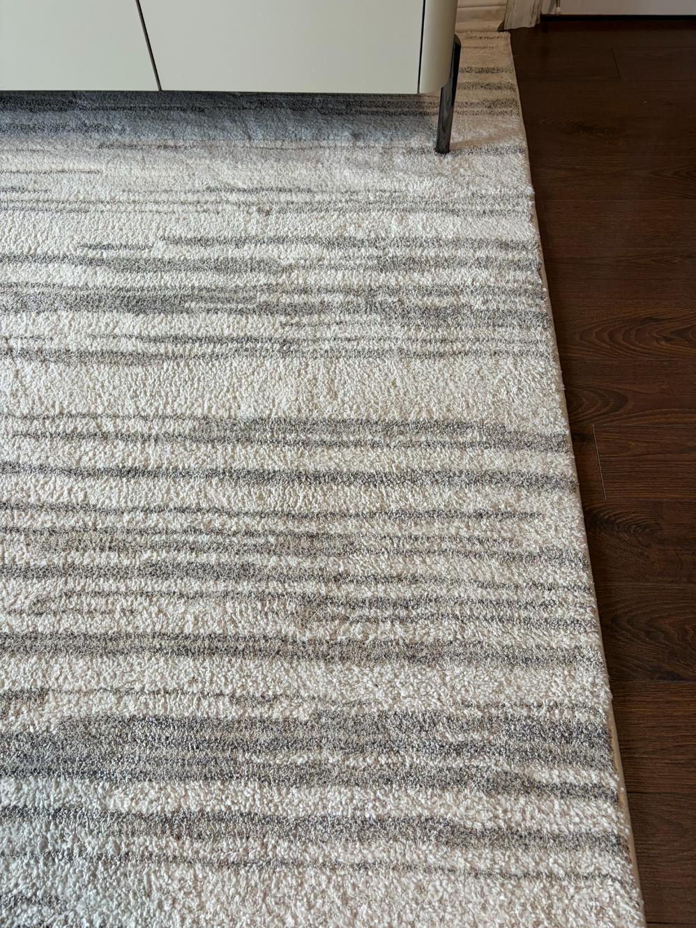 Thin Profile Area Rug Lot # (HomeSense - Dynamic Rugs Monroe)