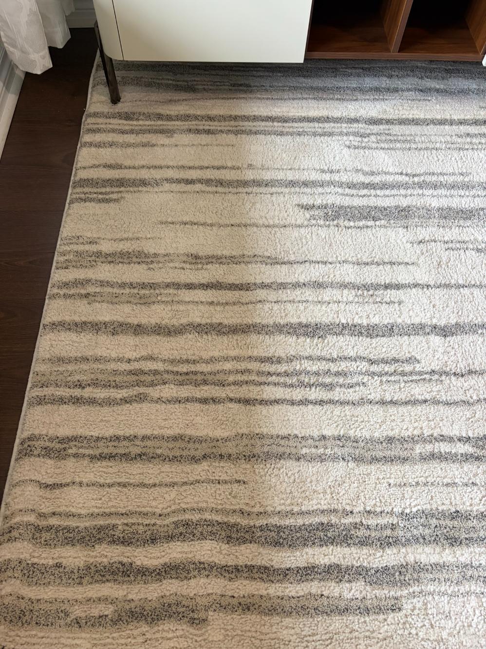 Thin Profile Area Rug Lot # (HomeSense - Dynamic Rugs Monroe)