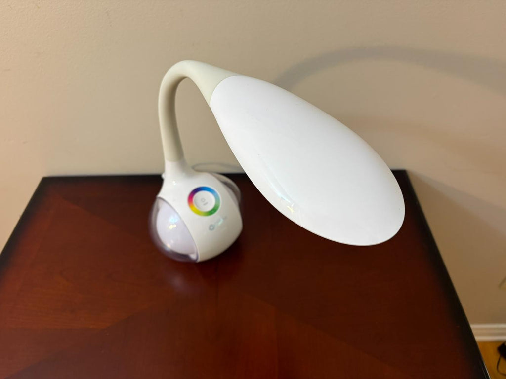 OttLite Desk Lamp