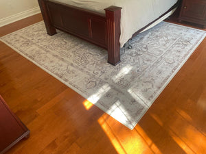 Indoor Outdoor Area Rug Lot #2 (10ft x 8ft)
