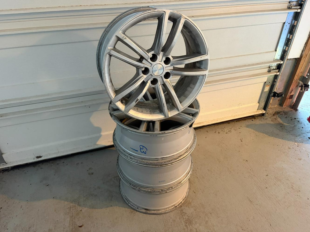 Tesla Rims