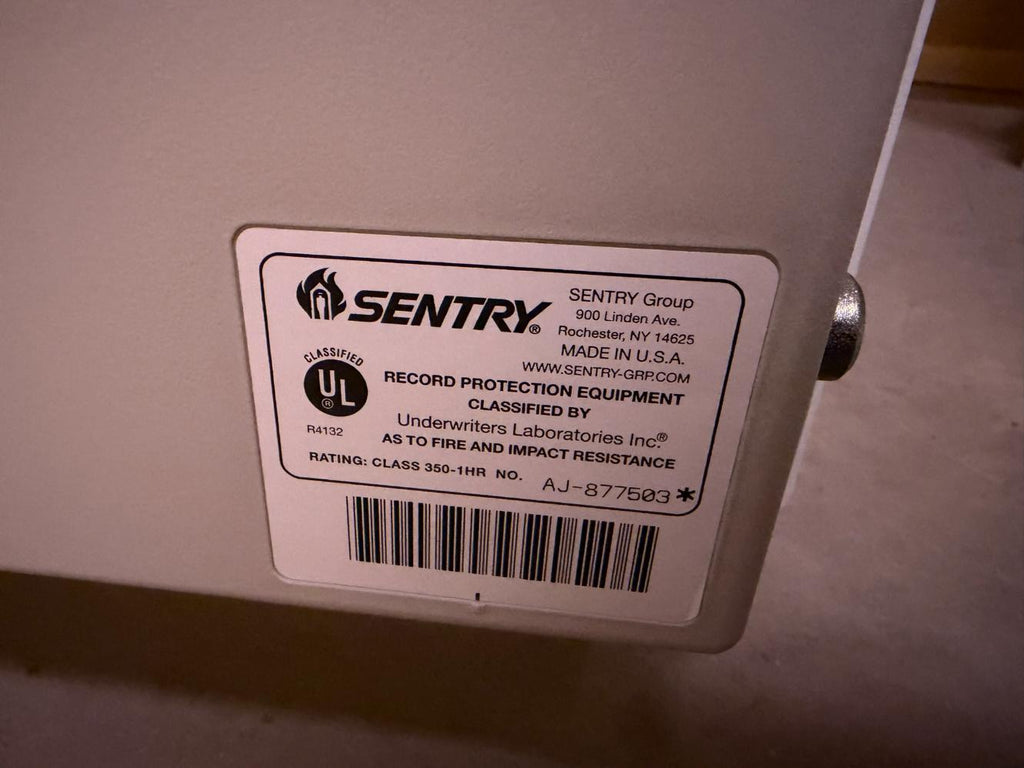 Heavy Duty Sentry Safe