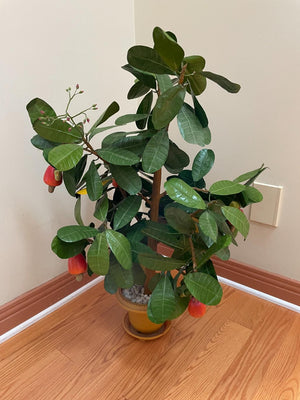 Faux Potted Fruit Tree