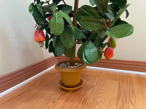 Faux Potted Fruit Tree