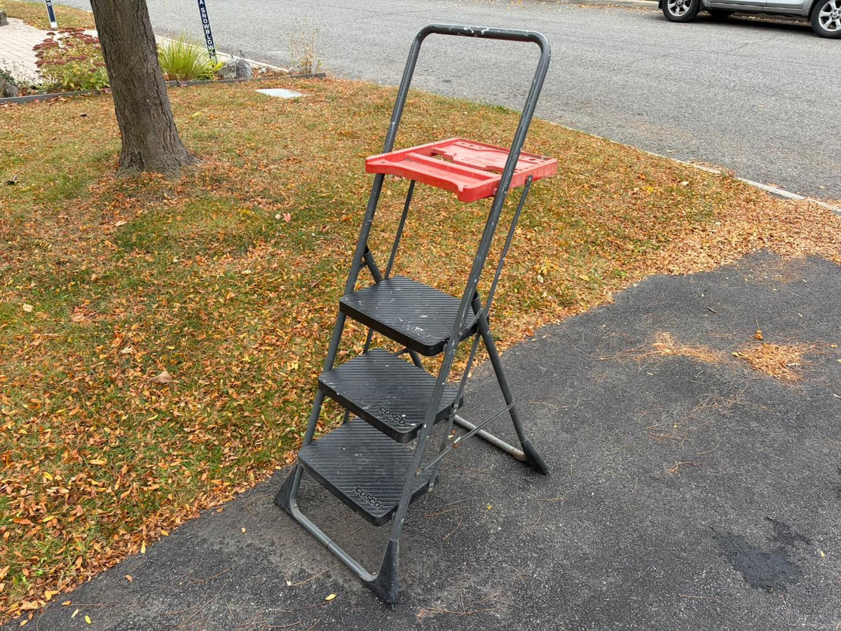 Cosco 3 Step Painters Ladder