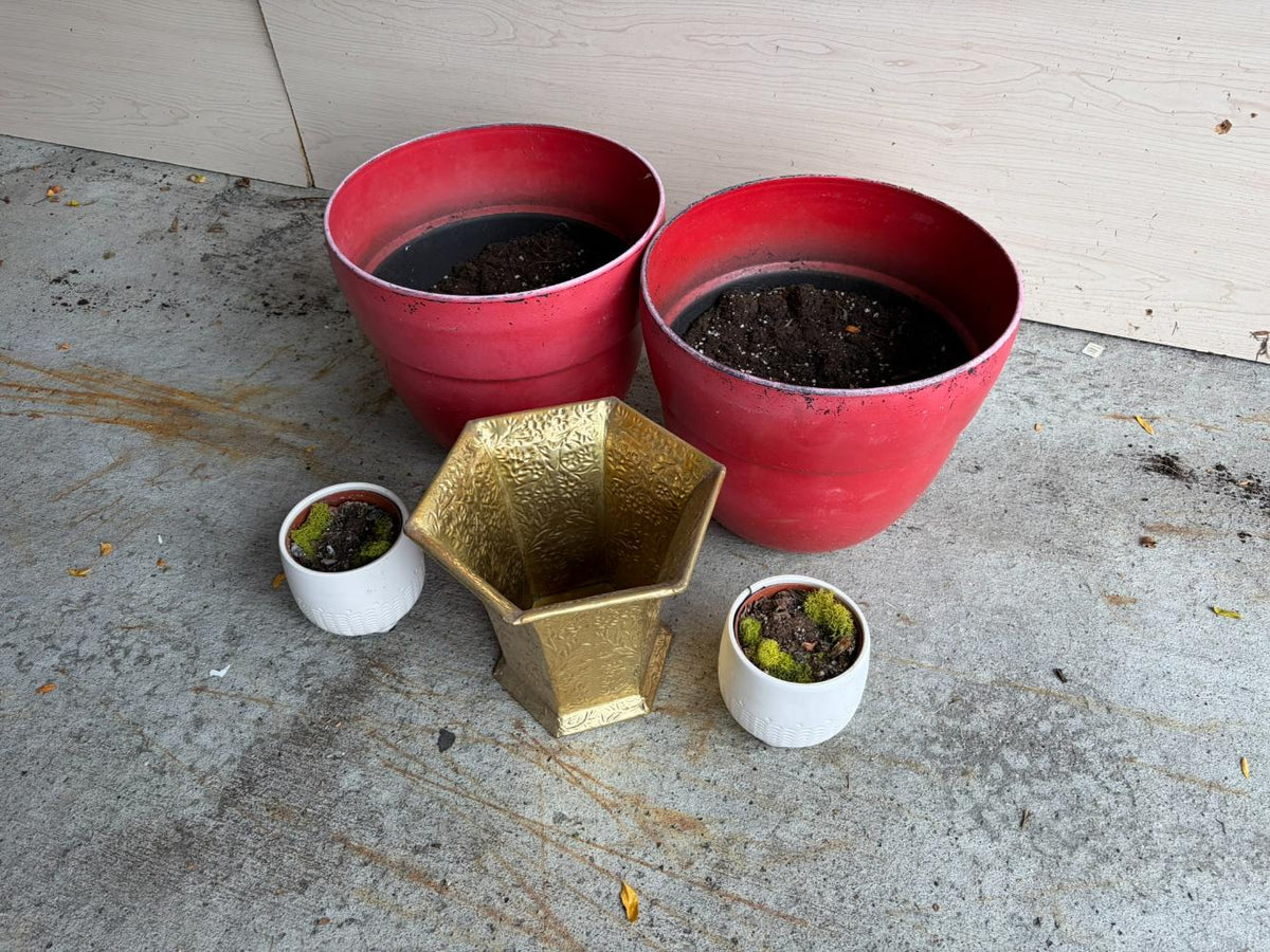 Planters Lot