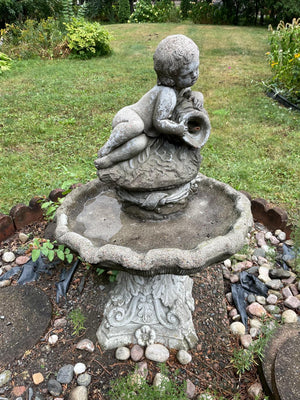 Birdbath Water Fountain