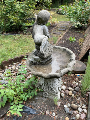 Birdbath Water Fountain