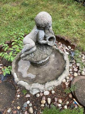 Birdbath Water Fountain
