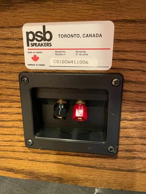 Pair PSB Tower Speakers CS180W411006