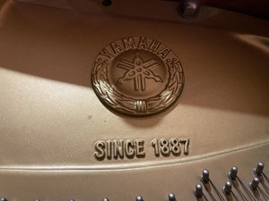Yamaha G2 Baby Grand Piano with Storage Bench